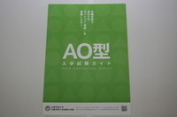 AO 003.jpg